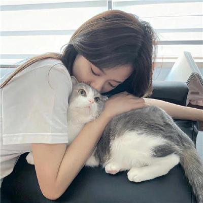败犬求婚日
