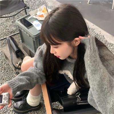 狮子护卫队第二季